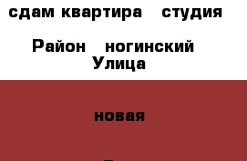 сдам квартира - студия › Район ­ ногинский › Улица ­ новая › Дом ­ 33 › Этажность дома ­ 2 › Цена ­ 20 000 - Московская обл., Ногинский р-н, Кудиново с. Недвижимость » Квартиры аренда   . Московская обл.